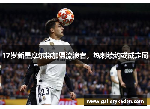 17岁新星摩尔将加盟流浪者，热刺续约或成定局